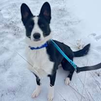 Thumbnail photo of Glitch #1