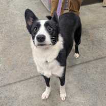 Thumbnail photo of Glitch #3