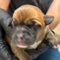 Thumbnail photo of Toast #2