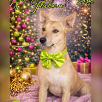 Thumbnail photo of Thelma #1