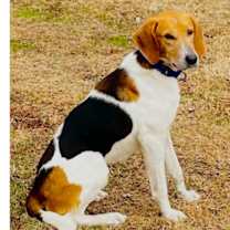 Thumbnail photo of Nick #1