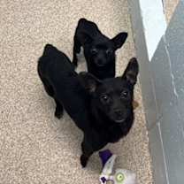 Thumbnail photo of Mary #2