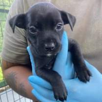 Thumbnail photo of Eugene #1