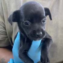 Thumbnail photo of Ethel #2