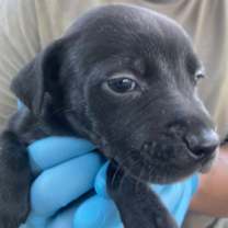 Thumbnail photo of Evan #1