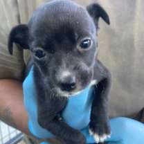 Thumbnail photo of Emily #2