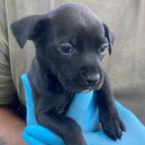 Thumbnail photo of Eugene #2