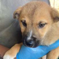 Thumbnail photo of Gwen #2