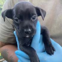 Thumbnail photo of Eugene #3