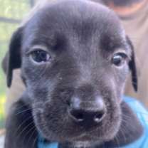 Thumbnail photo of Evan #2