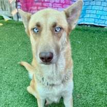 Thumbnail photo of Blue #3