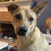 Thumbnail photo of Monty #2