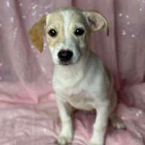 Thumbnail photo of Victoria #1