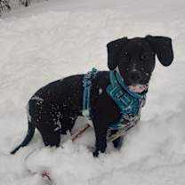 Thumbnail photo of Sailor #3