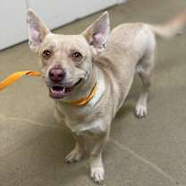 Thumbnail photo of Harmony #2