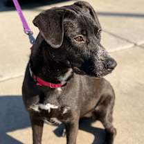 Thumbnail photo of Sugar #1