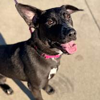 Thumbnail photo of Sugar #2