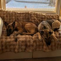 Thumbnail photo of Tori #4