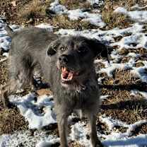 Thumbnail photo of Castle #3