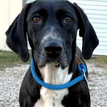 Thumbnail photo of Mandy #2