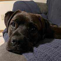 Thumbnail photo of Penny #4