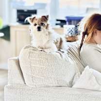 Thumbnail photo of Whopper Jr. #4