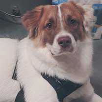 Thumbnail photo of Hermes #1