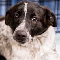 Thumbnail photo of Obby #1