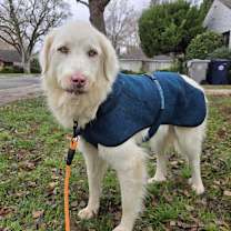 Thumbnail photo of Palomita #1