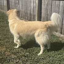 Thumbnail photo of Karley #3