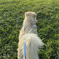 Thumbnail photo of Karley #4