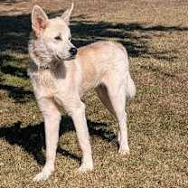 Thumbnail photo of Freeze #2