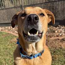 Thumbnail photo of Mira #1