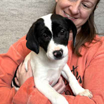 Thumbnail photo of Oakley #1