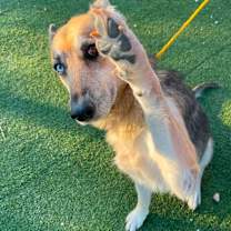 Thumbnail photo of Pearl #1