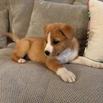 Thumbnail photo of OAKLEY #2