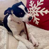 Thumbnail photo of Brooke #4