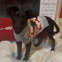 Thumbnail photo of Chance #2