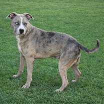 Thumbnail photo of Zombie #1