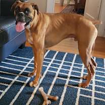 Thumbnail photo of Thunder II (New Digs) #4