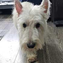 Thumbnail photo of Talia #1