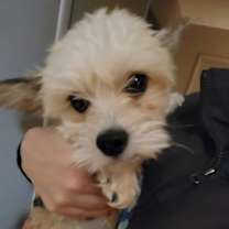 Thumbnail photo of Winnie #2