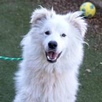 Thumbnail photo of Cupid #1