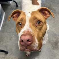 Thumbnail photo of Axel #1