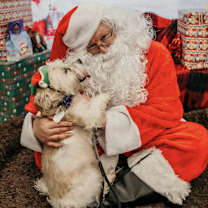 Thumbnail photo of Paco #2