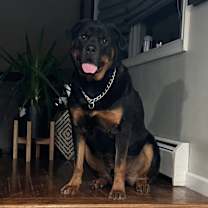 Thumbnail photo of Creed #3