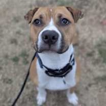 Thumbnail photo of Hang Tight #2