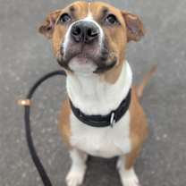 Thumbnail photo of Hang Tight #3