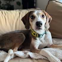 Thumbnail photo of Clay #2