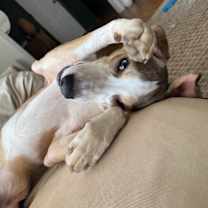 Thumbnail photo of Clay #4